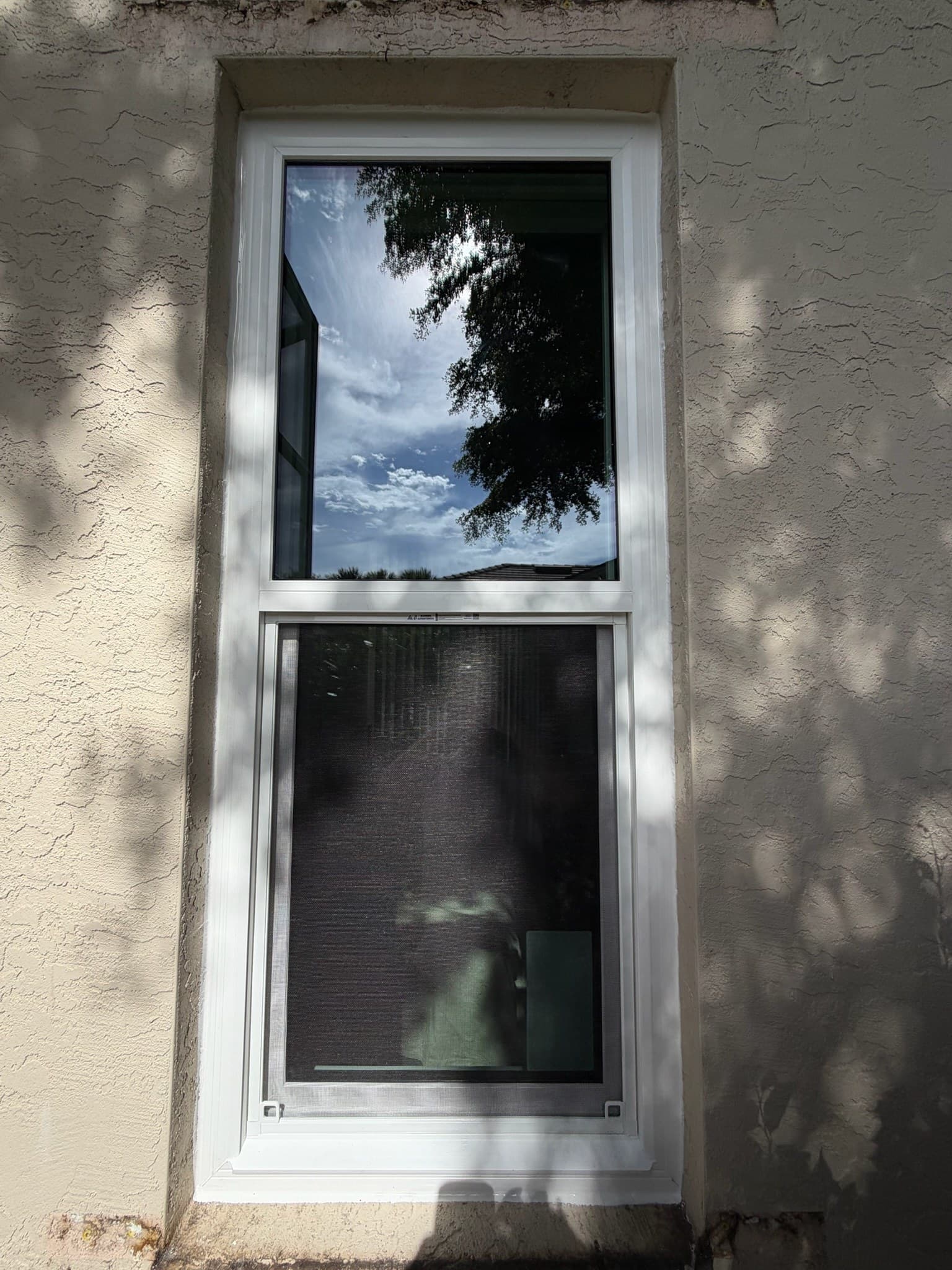 A white double-hung window on a stucco home, the glass reflecting the trees and sky outside